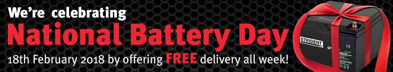 free delivery mobility batteries