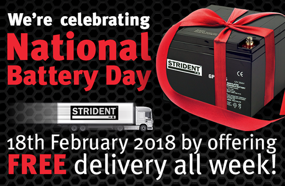 national battery day free delivery